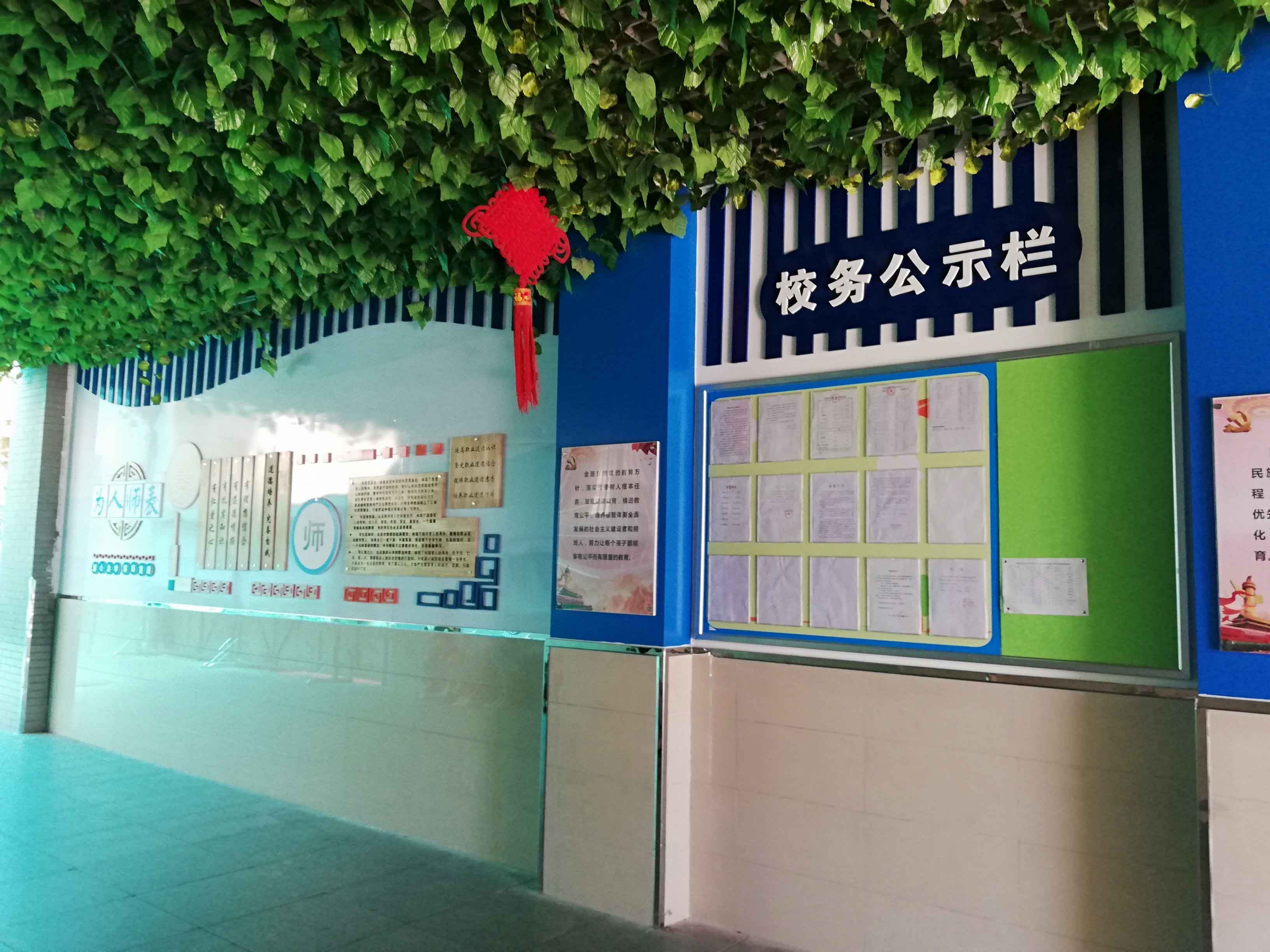 專業小學校園文化建設