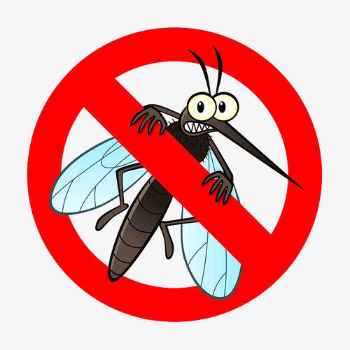如何有效的进行户外灭蚊？
