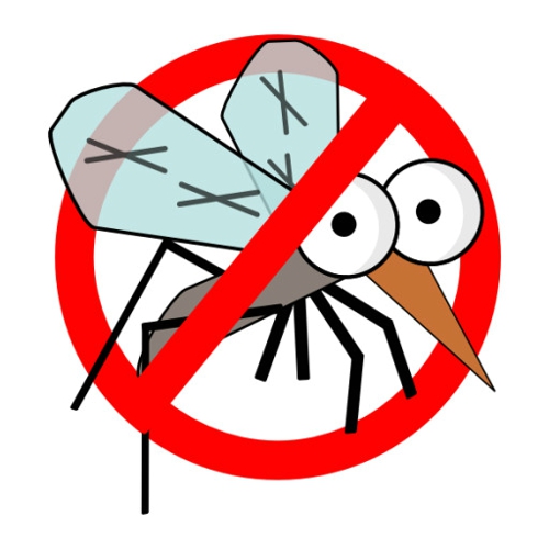 西安灭蚊蝇公司分享夏季驱蝇灭蚊最有效的措施