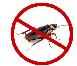 西安灭蟑螂公司告诉您怎么样才能把蟑螂清除干净