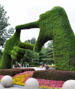 仿真植物绿雕