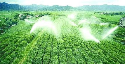 2016年我国将大力发展绿色粮食产业，您准备好了吗？