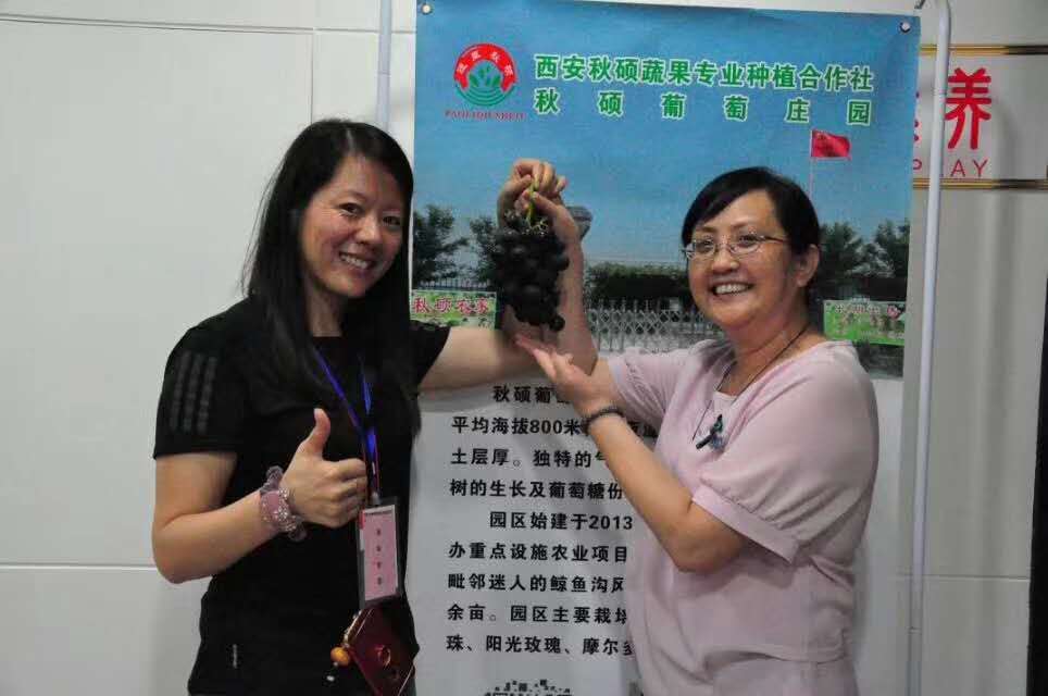 2017年8月25日秋硕葡萄庄园联手贝尔安亲课后拖育中心举行免费试吃活动