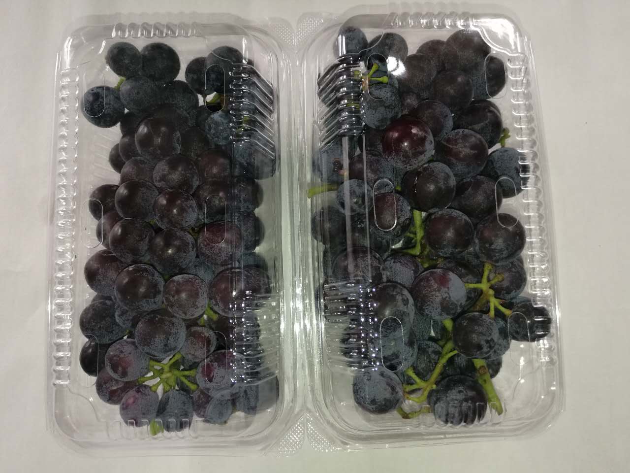 夏黑葡萄多少钱一斤咨询西安秋硕葡萄种植基地