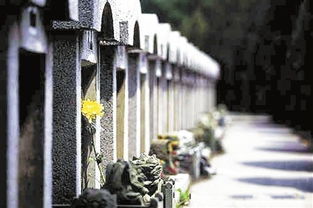 西安殡葬文化的变迁与西安殡仪馆的艺术创意