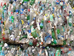 废品回收从业者到底是怎样的一群人？