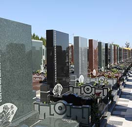 墓地的几种类型及特点