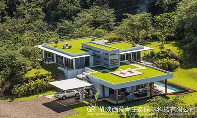 别墅屋顶绿化