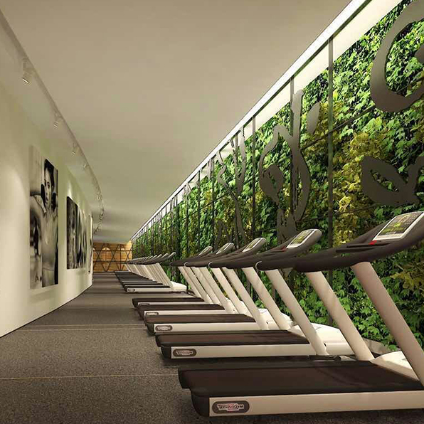 西安景观设计公司教你植物墙怎么搭配植物既经济又美观