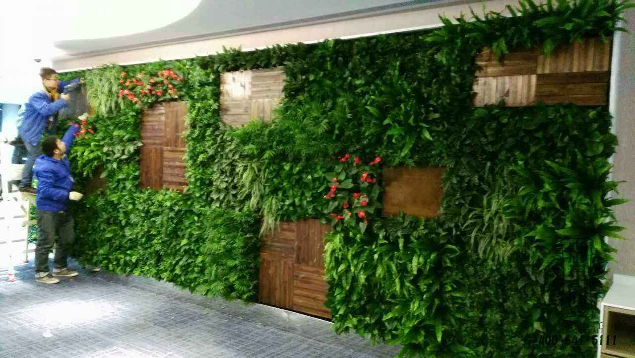 西安商场生态立体植物墙应该怎么养护？