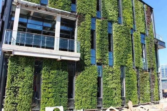 西安建筑立体绿化