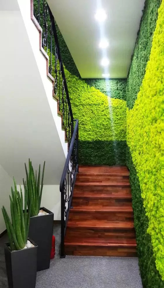 西安哪里有专业做植物墙的景观设计公司？