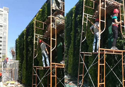 西安北郊办公楼护栏植物墙施工案例