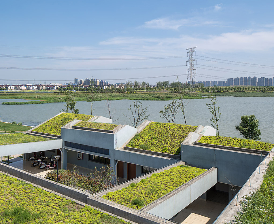 简单式屋顶绿化