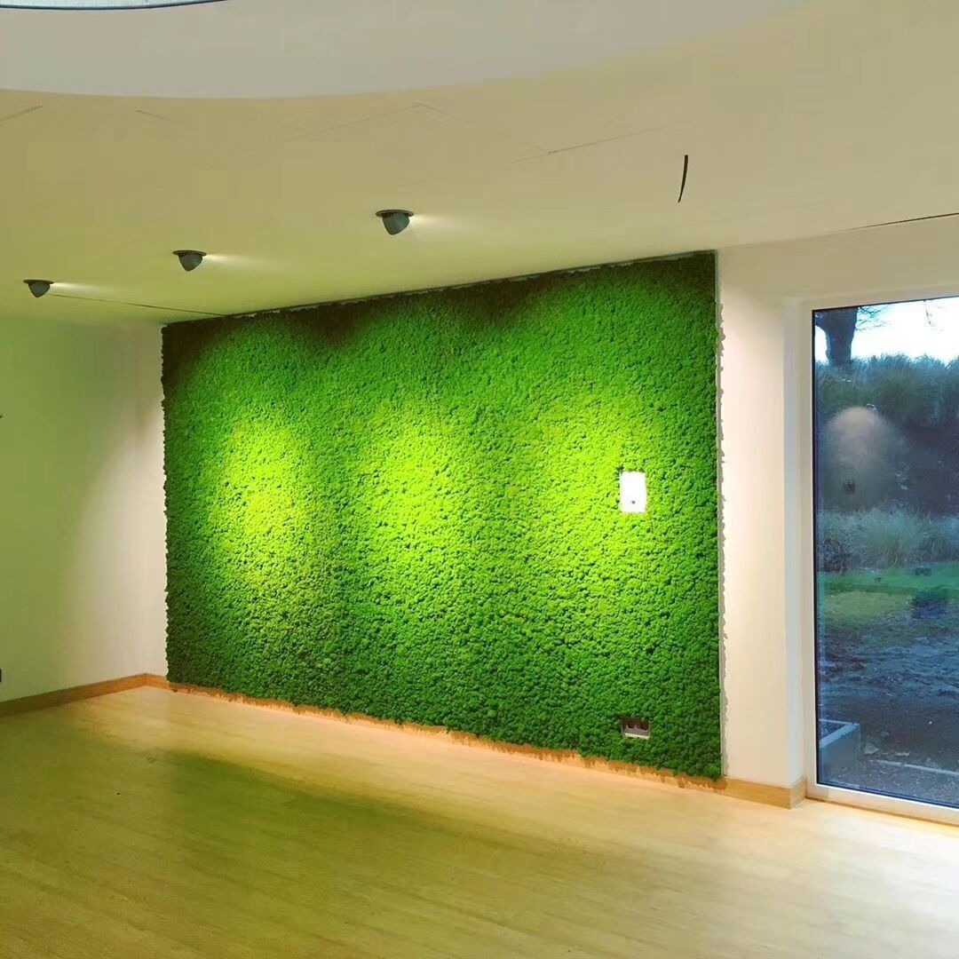 西安苔藓植物墙制作