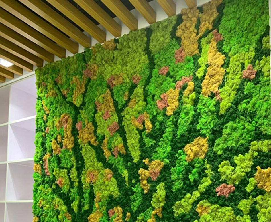 西安苔藓植物墙制作