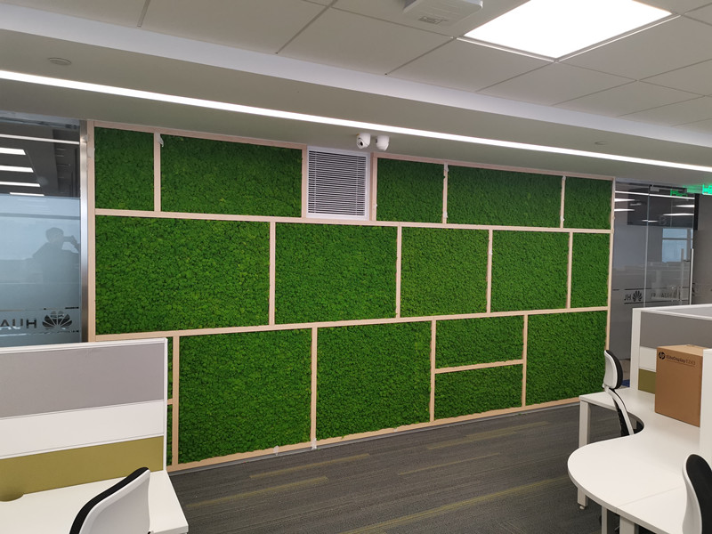 苔藓植物墙制作