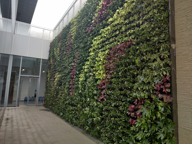 西安植物墙设计公司