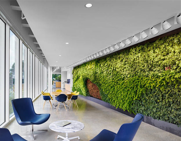 办公室植物墙养护