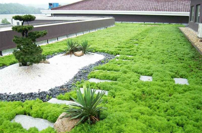 西安屋頂綠化公司