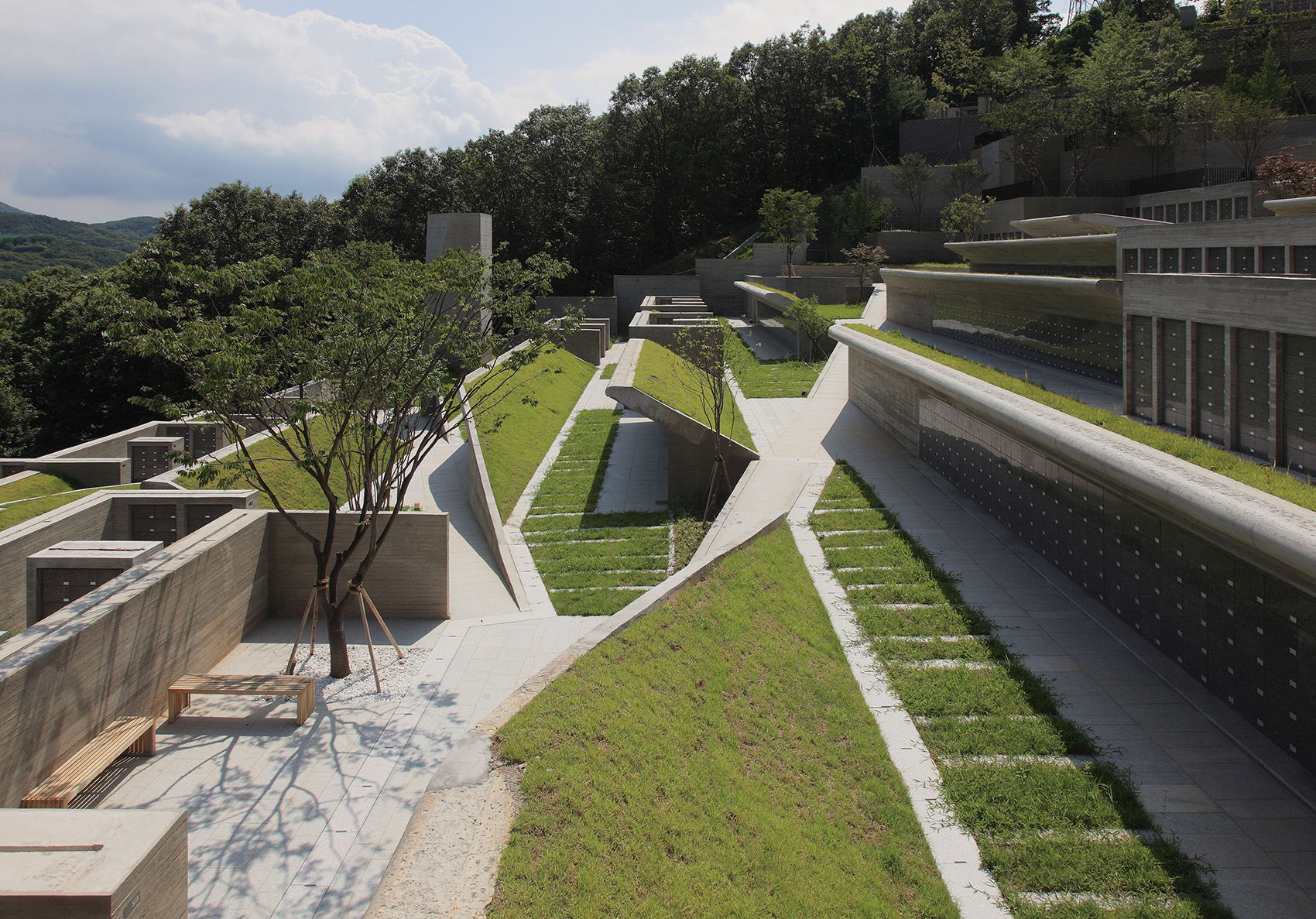 公園屋頂草坪打造