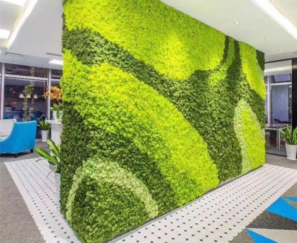 办公室苔藓植物墙制作