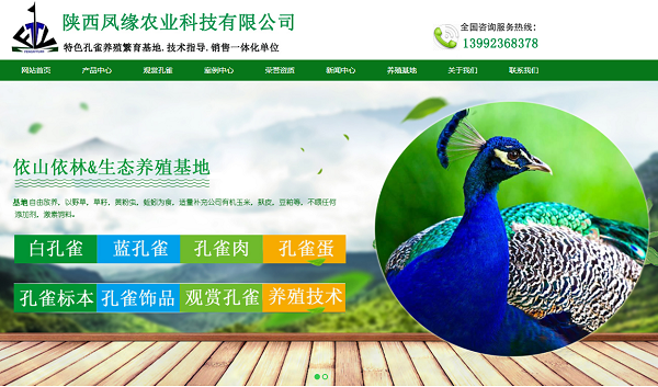 西安网站优化公司