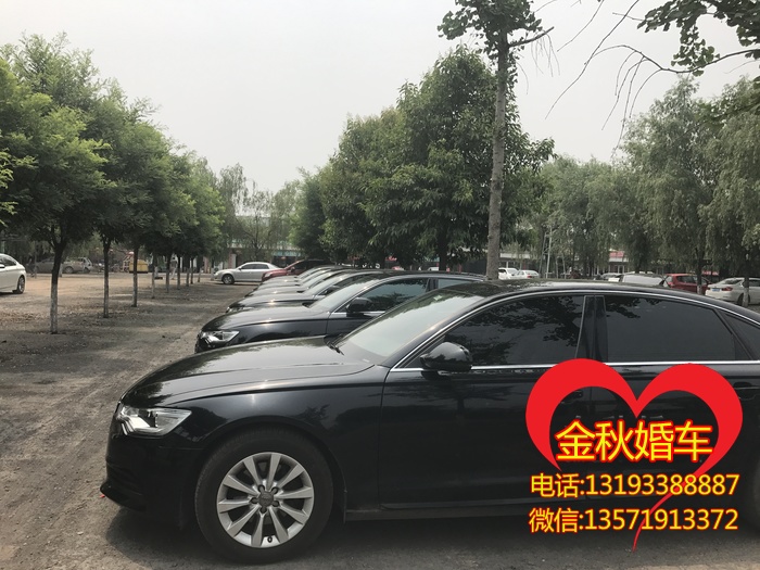 高端婚车预定就找山阳县婚庆头车租赁公司2019年出车数量高达2万辆