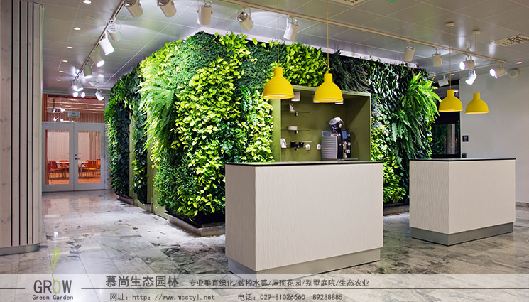 室内绿色植物墙
