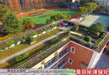 学校屋顶花园设计