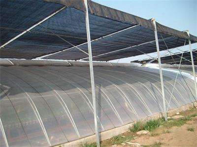 日光温室大棚建设之覆盖的方法具体有哪些