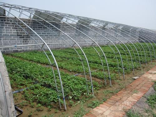  日光温室建设厂家分享日光温室大棚蔬菜施肥有哪些技巧和方法