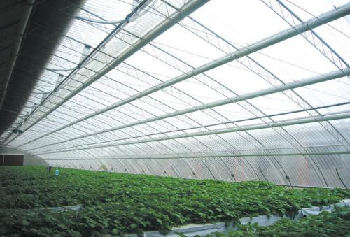 分析一下冬季日光温室也需要保暖以及日光温室想要实现自动控制的方面 分析一下冬季日光温室也需要保暖以及日光温室想要实现自动控制的方面