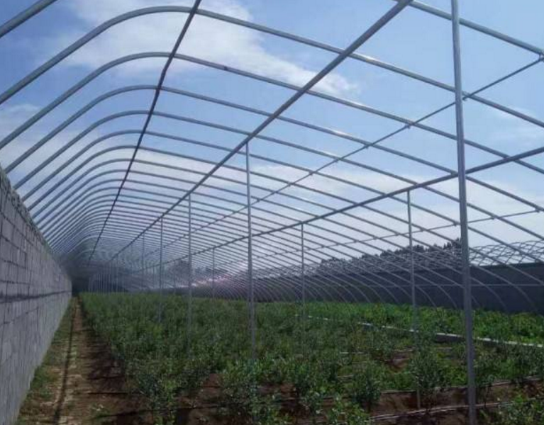分析我们的日光温室建设中保持棚内温度以维持作物生长良好的方法呢