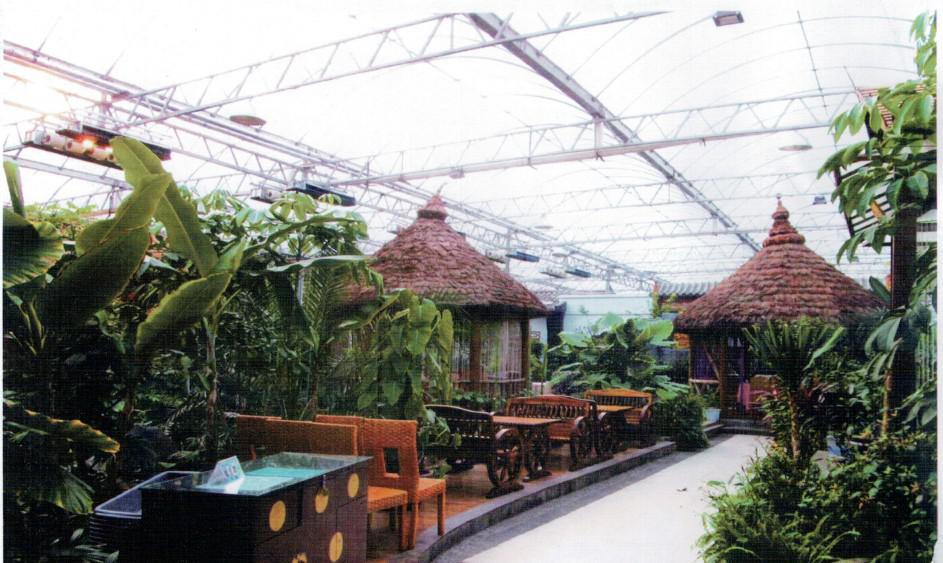 生态餐厅中植物造景的方法有哪些