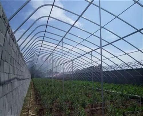 采用日光温室栽培蔬菜有什么特点