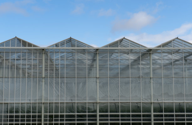 青岛/威海温室大棚建造容易、使用方便，投资较少