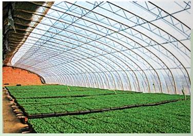 大连/鞍山草莓日光温室栽培技术助力日光温室种植增收