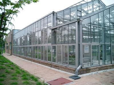 石家庄/唐山夏季玻璃温室大棚必须有效放风