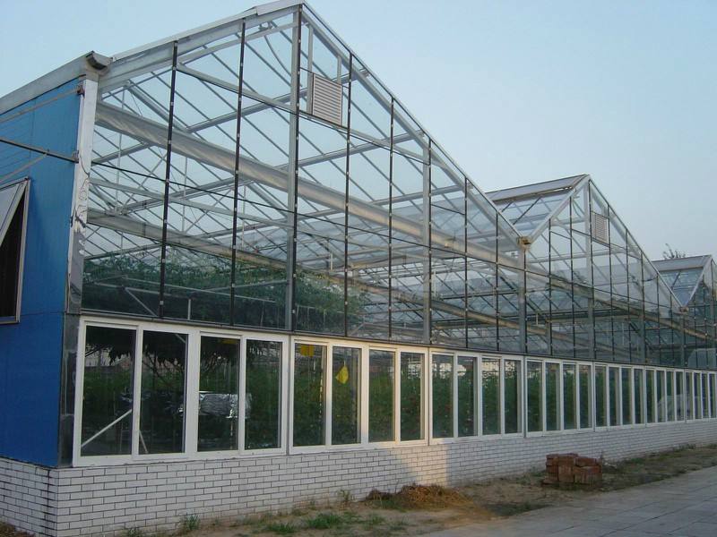 北京/上海温室大棚内蔬菜灌溉可以提高温室土壤和空气温度