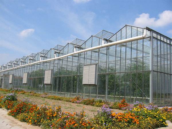玻璃温室大棚结构与优点你了解吗