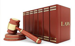 法律常识：立法法丨沈阳法律咨询