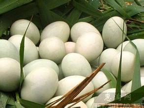 河南鸭蛋批发厂家鸭蛋多少钱一斤