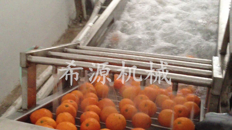 精品销售 希源机械XYC05洗橙子专用机器  维果橙子自动化清洗机