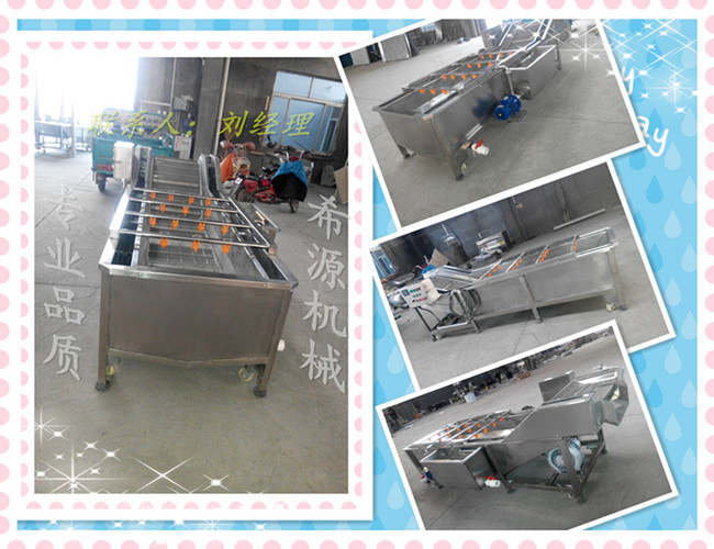 供应（低价）新疆葡萄清洗机 洗葡萄专用清洗设备  XY希源制造