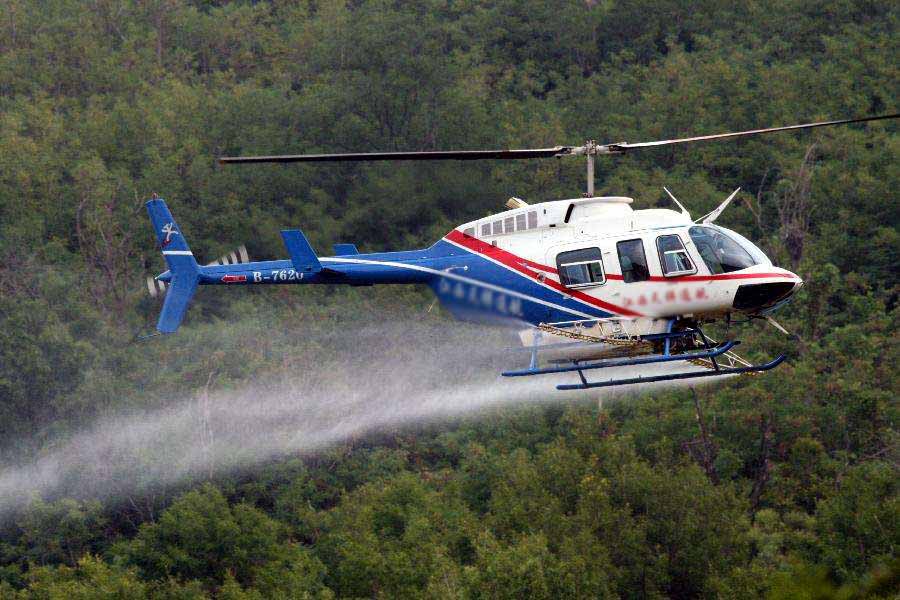 直升机升空植保飞防为松树喷药