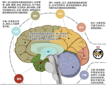 脑瘫怎么办？脑瘫如何康复训练和治疗，新疆维吾尔自治区友好医院脑瘫康复专科