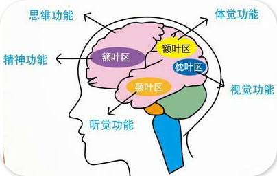 什么是癲癇病小發(fā)作？癲癇病發(fā)作怎么辦？烏魯木齊治療癲癇病的?？漆t(yī)院