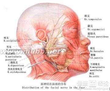 三叉神經(jīng)痛的癥狀表現(xiàn)，三叉神經(jīng)痛