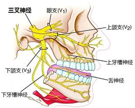 三叉神經(jīng)痛怎么治療，三叉神經(jīng)痛治療方法，快速止疼，自治區(qū)烏魯木齊友好醫(yī)院神經(jīng)科